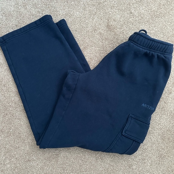 Aritzia Pants - Aritzia SweatFleece Mega Fit Cargo Sweatpants